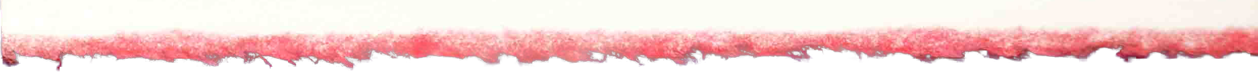 redborder02